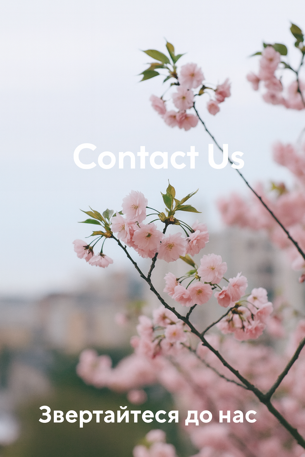 3a1d6d2a fcd7 4ce5 811c b605415c7fec